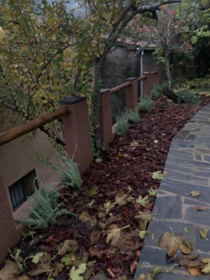 Apartament Caserio De *
