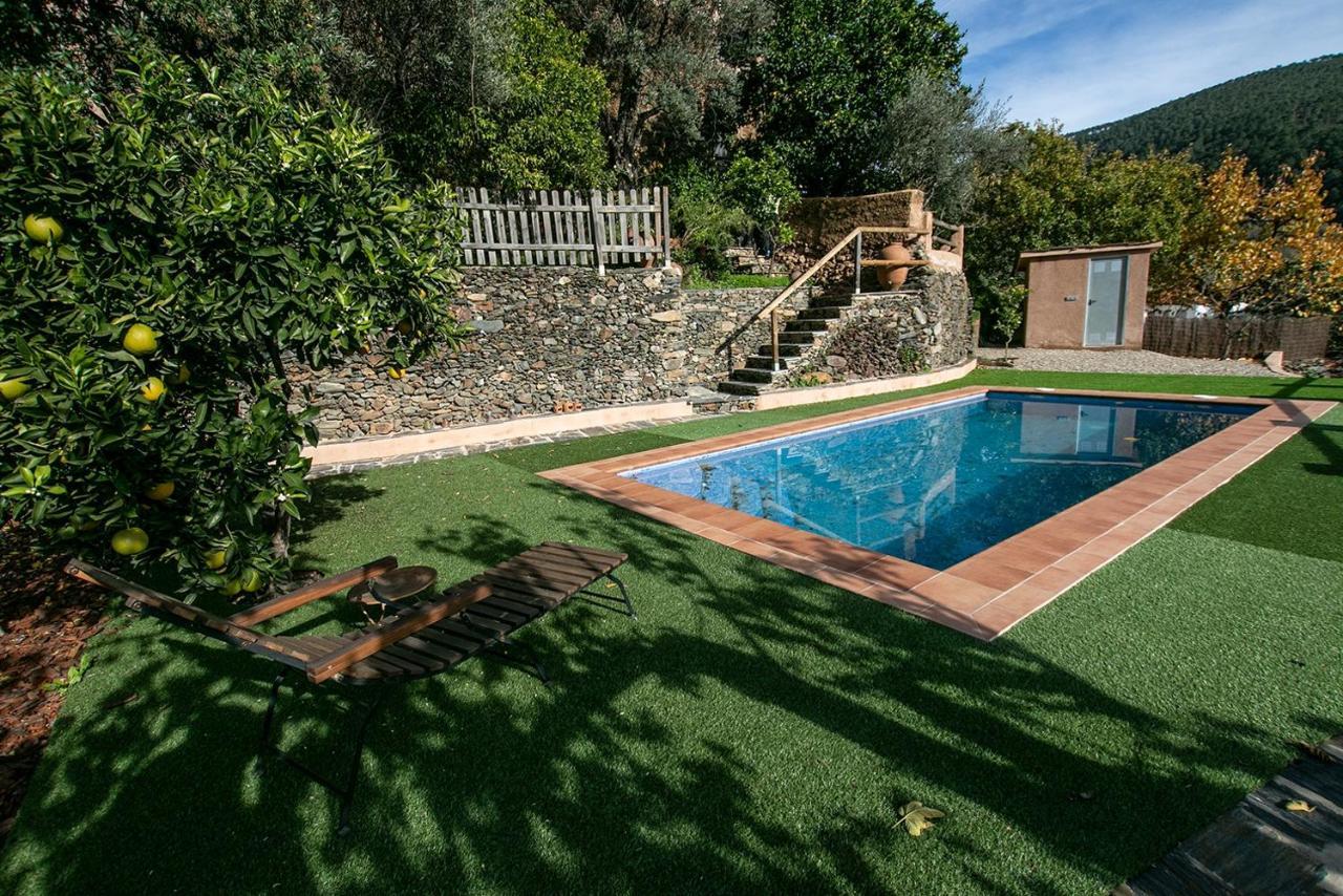 Apartament Caserio De *