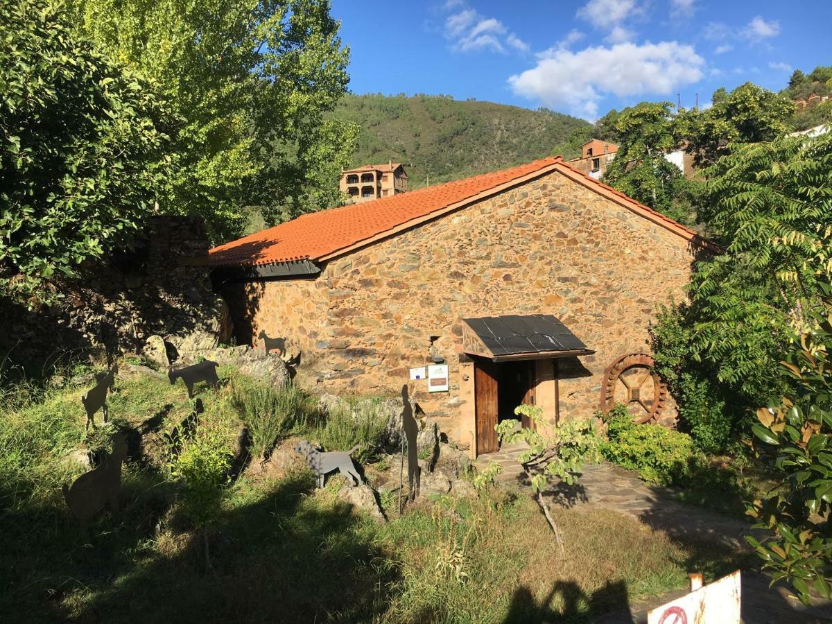 Caserio De Apartament