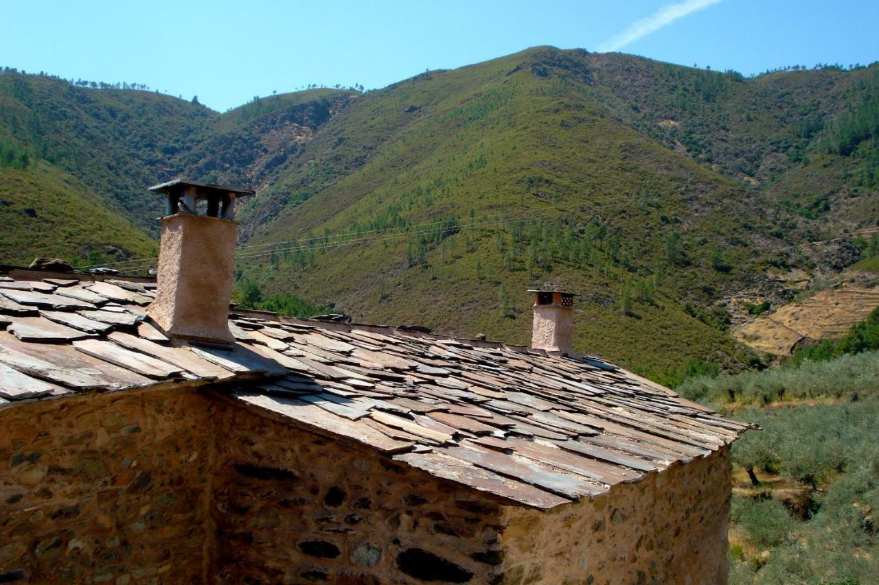 Apartament Caserio De *