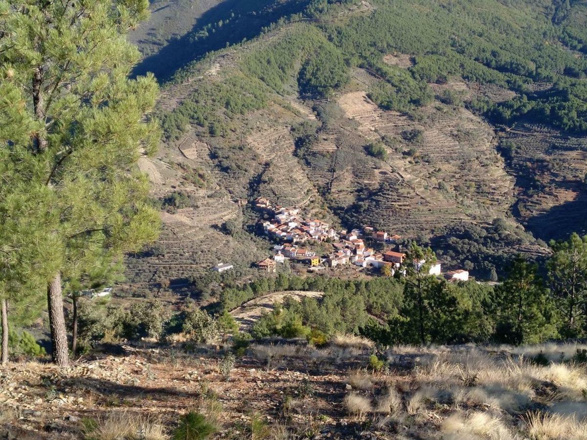 Caserio De * Ovejuela